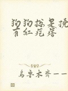 狗狗总是挠痒痒有红疙瘩