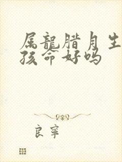 属龙腊月生的男孩命好吗