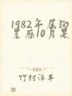 1982年属狗农历10月是什么命