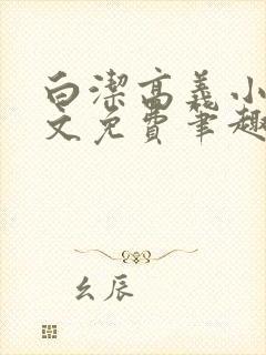 白洁高义小说全文免费笔趣阁在线阅读封面