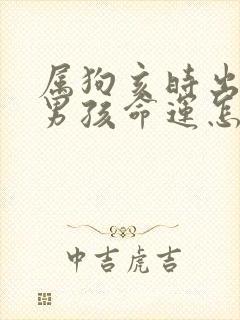 属狗亥时出生的男孩命运怎么样