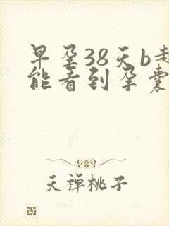 早孕38天b超能看到孕囊吗