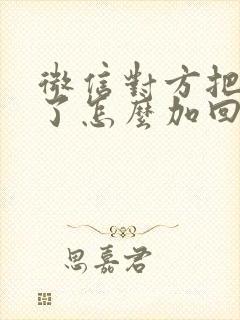 微信对方把你删了怎么加回来