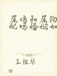 属鸡和属狗的相配吗婚姻如何