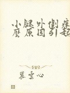 小腿外侧痒是什么原因引起的