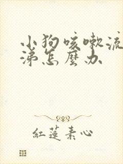 小狗咳嗽流黄鼻涕怎么办封面