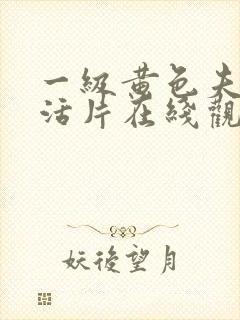 一级黄色夫妻生活片在线观看封面