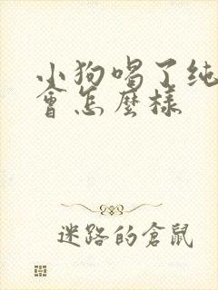 小狗喝了纯牛奶会怎么样