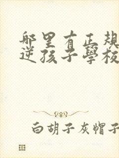 哪里有正规的叛逆孩子学校那个学校最好封面