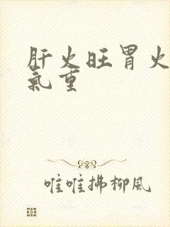 肝火旺胃火旺湿气重