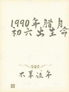 1990年腊月初六出生命运