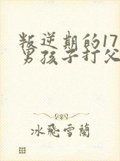 叛逆期的17岁男孩子打父母怎么办