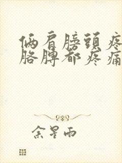 俩肩膀头疼痛抬胳膊都疼痛封面