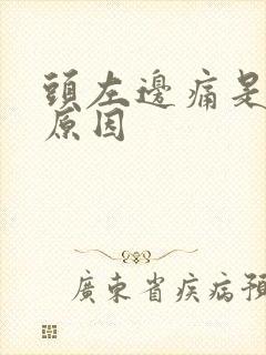 头左边痛是什么原因封面