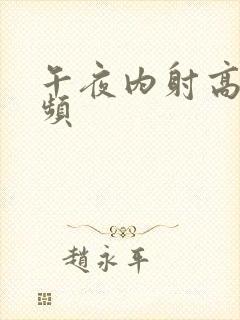 午夜内射高潮视频