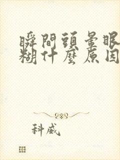 瞬间头晕眼睛模糊什么原因