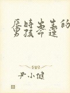 辰时出生的属蛇男孩命运封面