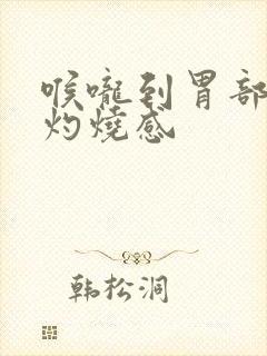 喉咙到胃部都有灼烧感封面