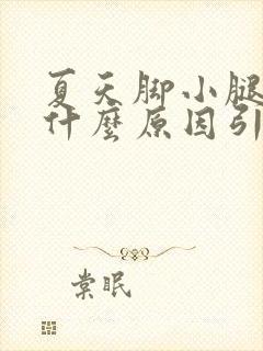 夏天脚小腿痒是什么原因引起的