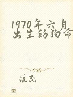 1970年六月出生的狗命运如何