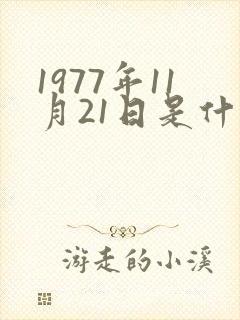 1977年11月21日是什么星座