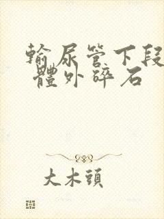 输尿管下段结石 体外碎石