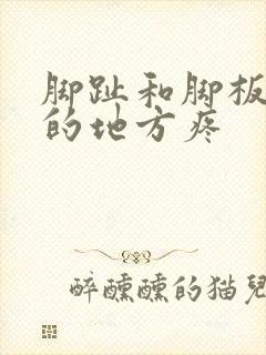 脚趾和脚板相接的地方疼封面