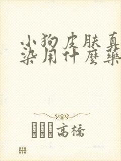 小狗皮肤真菌感染用什么药最好