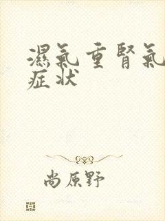 湿气重肾气不足症状