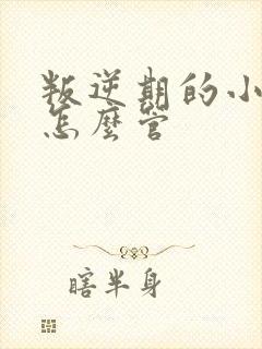 叛逆期的小孩该怎么管