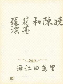 张莉和陈晓旭谁漂亮