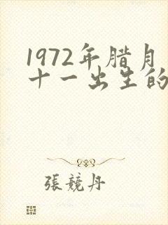 1972年腊月十一出生的人命运