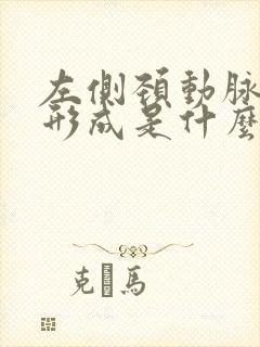 左侧颈动脉斑块形成是什么意思