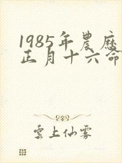 1985年农历正月十六命运