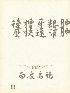 后槽牙龈肿痛怎么快速消肿