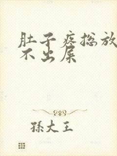 肚子疼总放屁拉不出屎封面