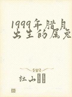 1999年腊月出生的属兔女人什么命封面