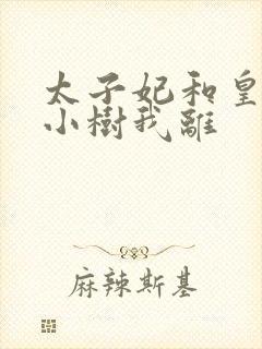 太子妃和皇上在小树我离封面