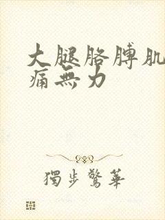 大腿胳膊肌肉酸痛无力