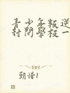 青少年叛逆正规封闭学校一年多少学费