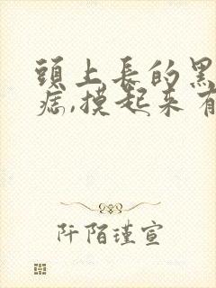 头上长的黑色的痣,摸起来有凸起,软软的封面