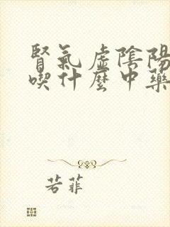 肾气虚阴阳两虚吃什么中药