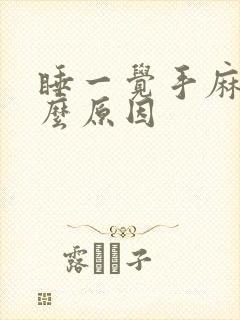 睡一觉手麻了什么原因