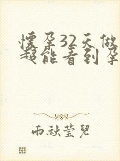 怀孕32天做b超能看到孕囊吗