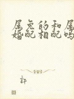 属兔的和属龙的婚配相配吗