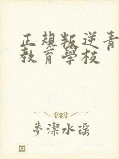 正规叛逆青少年教育学校