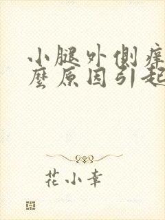 小腿外侧痒是什么原因引起的封面