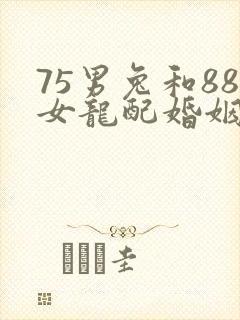 75男兔和88女龙配婚姻好不好封面