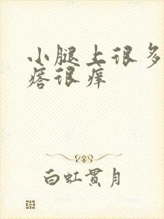 小腿上很多小疙瘩很痒