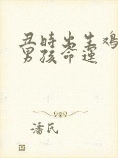 丑时出生鸡年的男孩命运